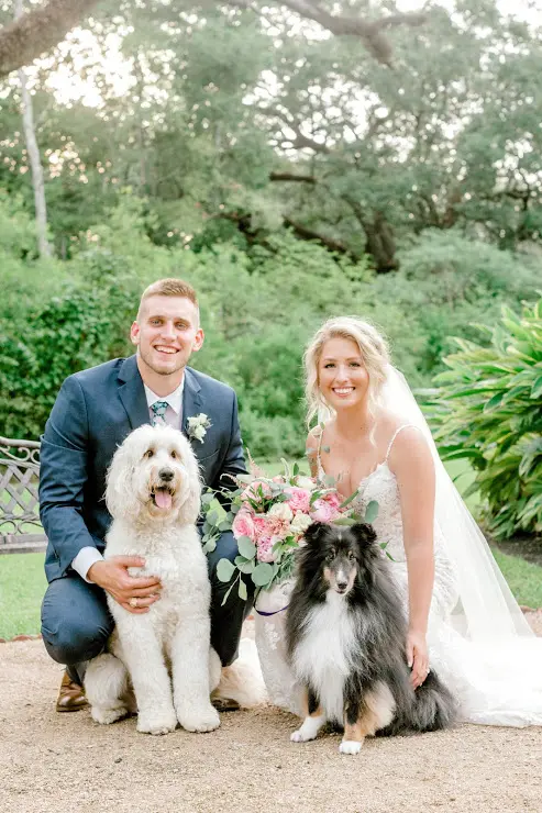 groom and bride with their dogs